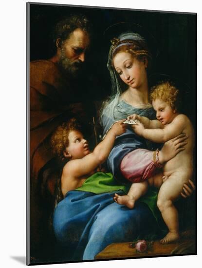 Madonna Della Rosa-Raphael-Mounted Giclee Print