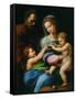 Madonna Della Rosa-Raphael-Framed Stretched Canvas