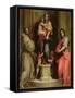 Madonna Delle Arpie-Andrea del Sarto-Framed Stretched Canvas