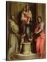 Madonna Delle Arpie-Andrea del Sarto-Stretched Canvas