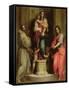 Madonna Delle Arpie-Andrea del Sarto-Framed Stretched Canvas