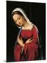 Madonna, Detail from Nativity-null-Mounted Giclee Print