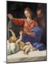 Madonna Di Loreto-null-Mounted Giclee Print