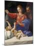 Madonna Di Loreto-null-Mounted Giclee Print