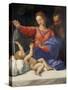 Madonna Di Loreto-null-Stretched Canvas