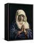 Madonna in Prayer-Giovanni Battista Salvi da Sassoferrato-Framed Stretched Canvas