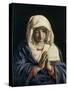 Madonna in Prayer-Giovanni Battista Salvi da Sassoferrato-Stretched Canvas