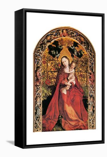 Madonna in Rose Garden, 1473-Martin Schongauer-Framed Stretched Canvas