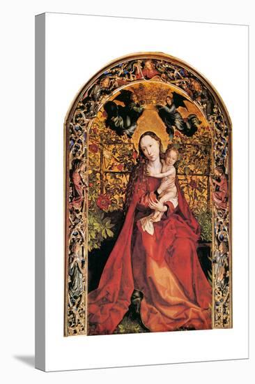 Madonna in Rose Garden, 1473-Martin Schongauer-Stretched Canvas