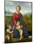 Madonna in the Meadow, 1505 or 1506-Raphael-Mounted Giclee Print