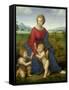 Madonna in the Meadow, 1505 or 1506-Raphael-Framed Stretched Canvas