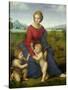 Madonna in the Meadow, 1505 or 1506-Raphael-Stretched Canvas