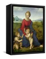 Madonna in the Meadow, 1505 or 1506-Raphael-Framed Stretched Canvas