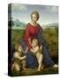 Madonna in the Meadow, 1505 or 1506-Raphael-Stretched Canvas