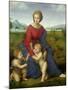 Madonna in the Meadow, 1505 or 1506-Raphael-Mounted Giclee Print