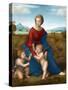 Madonna in the Meadow by Raphael-null-Stretched Canvas