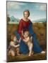 Madonna in the Meadow, Ca 1506-Raphael-Mounted Giclee Print