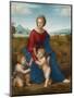 Madonna in the Meadow, Ca 1506-Raphael-Mounted Giclee Print