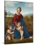 Madonna in the Meadow, Ca 1506-Raphael-Stretched Canvas