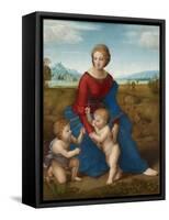 Madonna in the Meadow, Ca 1506-Raphael-Framed Stretched Canvas