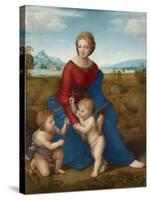 Madonna in the Meadow, Ca 1506-Raphael-Stretched Canvas