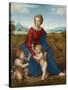 Madonna in the Meadow, Ca 1506-Raphael-Stretched Canvas