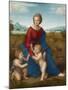 Madonna in the Meadow, Ca 1506-Raphael-Mounted Giclee Print