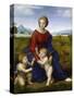 Madonna in the Meadow-Raphael-Stretched Canvas