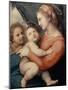 Madonna in the Tent-Raphael-Mounted Giclee Print