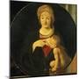 Madonna Lactans-Giovanni Antonio Boltraffio-Mounted Giclee Print