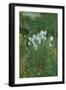 Madonna Lilies in a Garden-Walter Crane-Framed Giclee Print