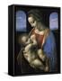 Madonna Litta-Leonardo da Vinci-Framed Stretched Canvas