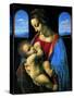 Madonna Litta-null-Stretched Canvas