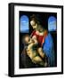 Madonna Litta-null-Framed Art Print