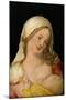 Madonna Nursing the Child, 1503-Albrecht Dürer-Mounted Giclee Print