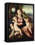 Madonna of Casalmaggiore, Circa 1522-null-Framed Stretched Canvas