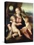 Madonna of Casalmaggiore, Circa 1522-null-Stretched Canvas