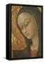 Madonna of Cherries, 1440-1450-Stefano Di Giovanni-Framed Stretched Canvas