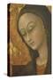 Madonna of Cherries, 1440-1450-Stefano Di Giovanni-Stretched Canvas