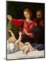 Madonna of Loreto, C.1508-Raphael-Mounted Giclee Print