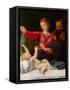 Madonna of Loreto, C.1508-Raphael-Framed Stretched Canvas