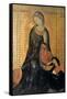 Madonna of the Annunciation, C1304-1344-Simone Martini-Framed Stretched Canvas