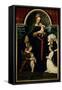 Madonna of the Burgermeister Meyer-Hans Holbein the Younger-Framed Stretched Canvas