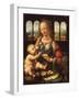 Madonna of the Carnation-Leonardo Da Vinci-Framed Premium Giclee Print