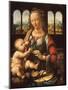 Madonna of the Carnation-Leonardo Da Vinci-Mounted Premium Giclee Print