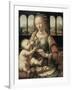 Madonna of the Carnation-Leonardo da Vinci-Framed Giclee Print