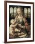 Madonna of the Carnation-Leonardo da Vinci-Framed Giclee Print