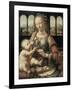 Madonna of the Carnation-Leonardo da Vinci-Framed Giclee Print