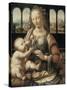 Madonna of the Carnation-Leonardo da Vinci-Stretched Canvas