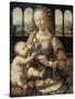 Madonna of the Carnation-Leonardo da Vinci-Stretched Canvas